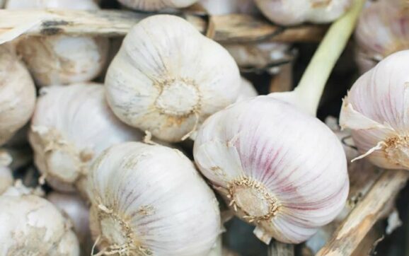 Garlic's Benefits For Men's Health