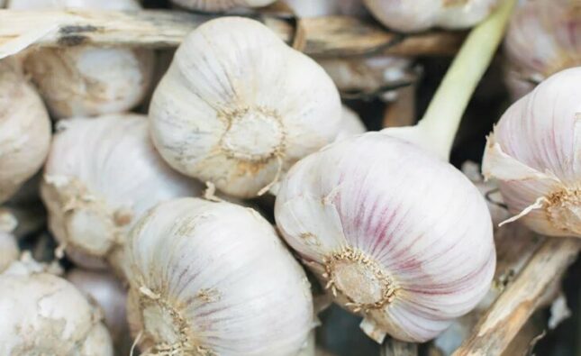 Garlic's Benefits For Men's Health