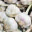 Garlic’s Benefits For Men’s Health