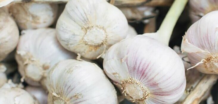 Garlic’s Benefits For Men’s Health